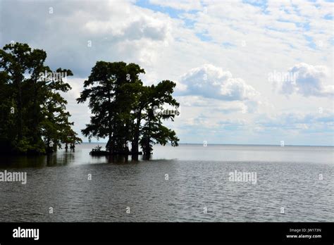 The Albemarle Sound Waterfront In Edenton North Carolina Stock Photo