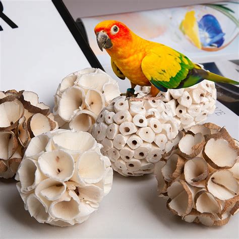 Pcs Natural Birds Toys Chew Sola Balls Bird Foraging Toys Parrot Chew