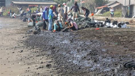 Tumpahan Minyak Dan Gas Proyek Pertamina Di Laut Jawa Ribuan Karung