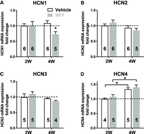 Qrt Pcr Measurements Reveal Downregulation Of Hcn Expression In W