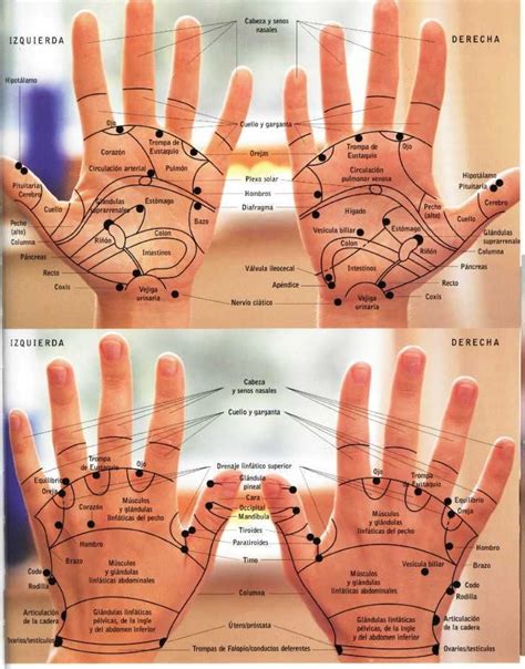 Digitopuntura Y Reflexologia Reflexolog A Reflexolog A De Mano