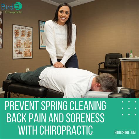 Prevent Spring Cleaning Back Pain And Soreness With Chiropractic — Bird Chiropractic Best