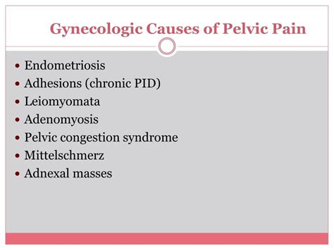 Ppt Chronic Pelvic Pain Powerpoint Presentation Free Download Id 1706472