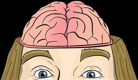 Download Open Head Brain Illustration