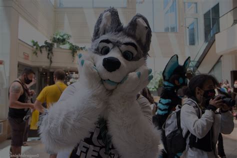 Anthrocon 2023: Updates for Registration, Dealers, Programming ...