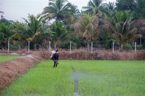 Premium Photo A Farmer From Asia Is Using A Knapsack Mist Duster To