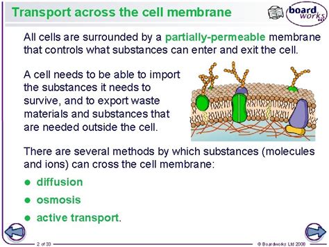 Transport Across Cell Membranes Notes Transport Informations Lane