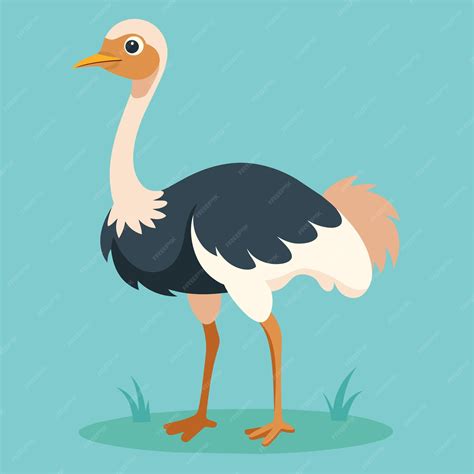 Premium Vector Ostrich Vector Illustration