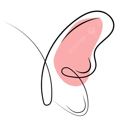 나비 라인 아트 벡터 귀여운 나비 나비 라이너 나비 Png 일러스트 및 벡터 에 대한 무료 다운로드 Pngtree