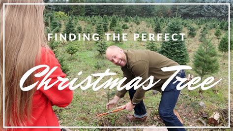 Finding The Perfect Christmas Tree Youtube