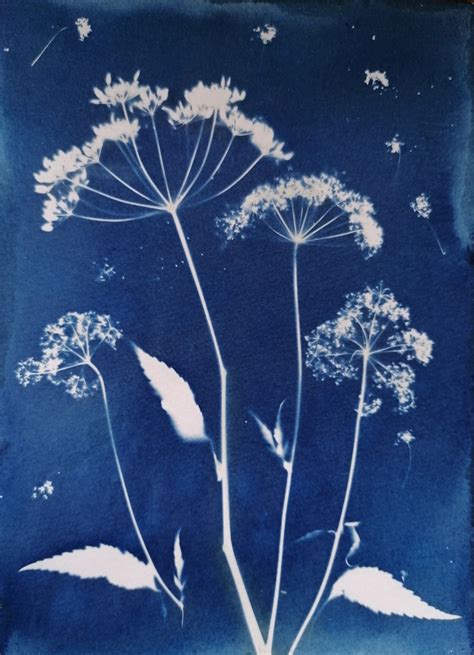 Blue Poster Cyanotype Phone Icon Botanical Prints Tattoo