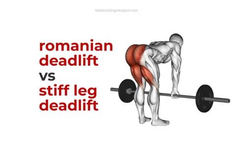 Romanian Deadlift Vs Stiff Leg Deadlift Differences And Muscles Worked