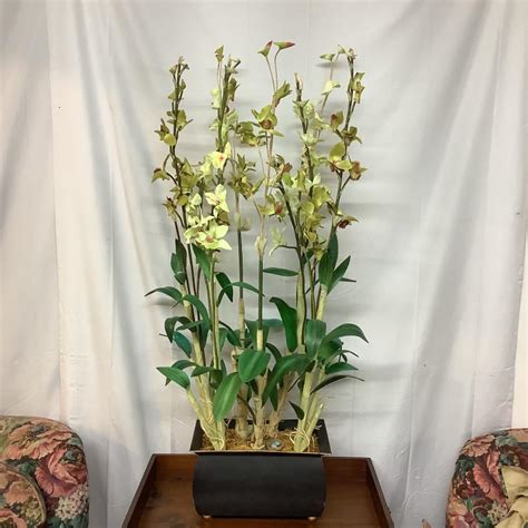 Large Ndi Silk Orchid Flower Arrangement Estatesales Org