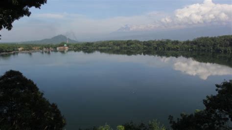 Penampakan Ikan Raksasa Di Danau Ranu Pakis Lumajang Viral Di Media Sosial