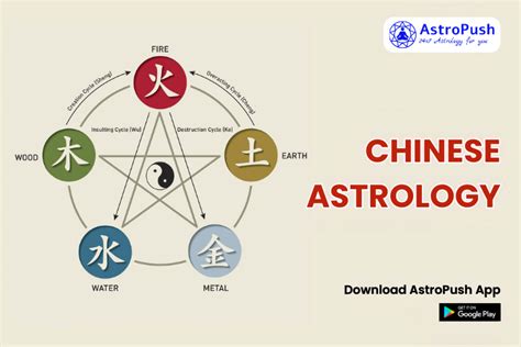 Chinese Astrology: Traits, Birth Elements, Matches, and Much More