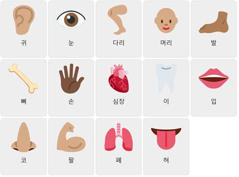 Body Parts In Korean Vocabulary Game Ekvis