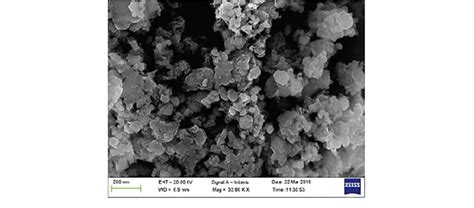 Fesem Image Of Biologically Synthesized Fe Nanoparticle Showing The