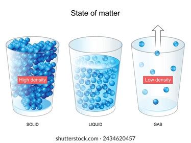 Fermentation Metabolic Process Consumes Sugar Yeast Stock Vector