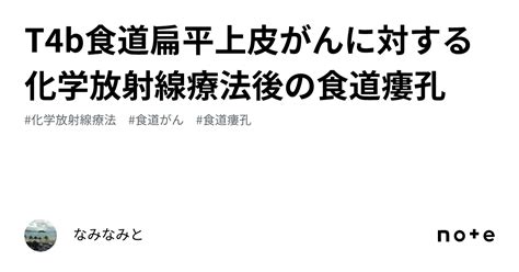 T4b食道扁平上皮がんに対する化学放射線療法後の食道瘻孔｜なみなみと