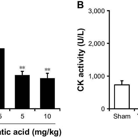 Asiatic Acid Reduced Plasma Ldh And Ck Activities Following Mi R