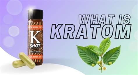 What Is Kratom Benefits Strains Side Effects