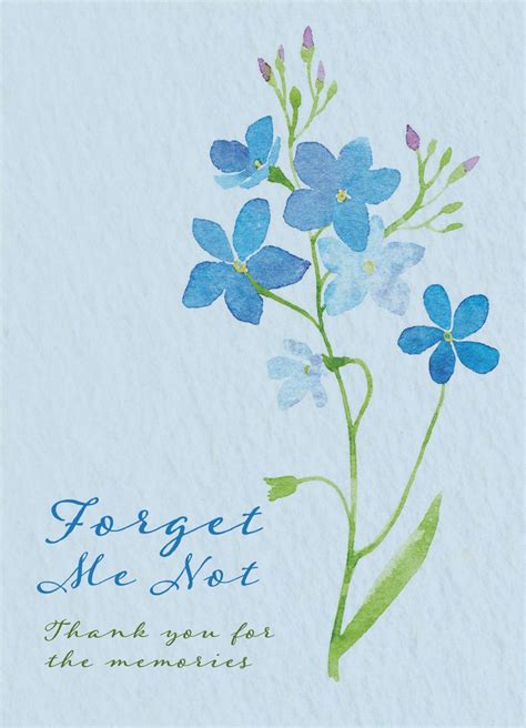 Thank You For The Memories Forget Me Not Seed Packets Seed Favors