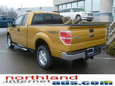 2009 Amber Gold Metallic Ford F150 Xlt Supercab 4x4 11208404 Photo 2