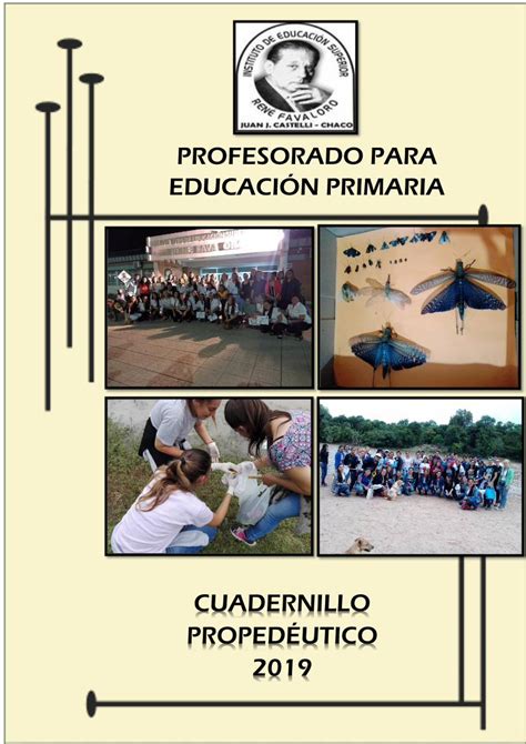 Pdf Profesorado Para EducaciÓn Primaria Anual O Cuatrimestral De