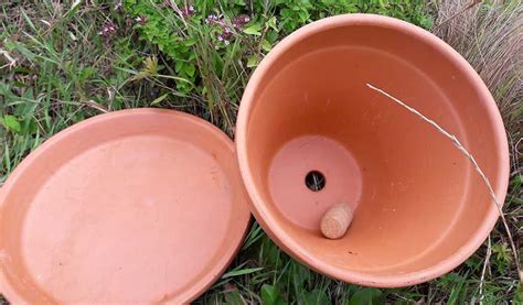 Conomiser L Eau Au Jardin Comment Fabriquer Des Oyas Pour Euros