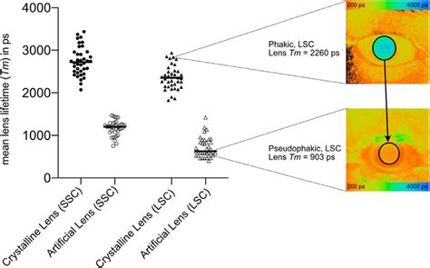 Representative Illustration Of The Etdrs Grid On A Fluorescence