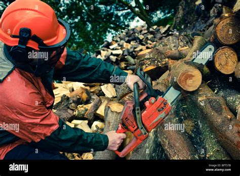 Man Cutting Tree High Resolution Stock Photography And Images Alamy