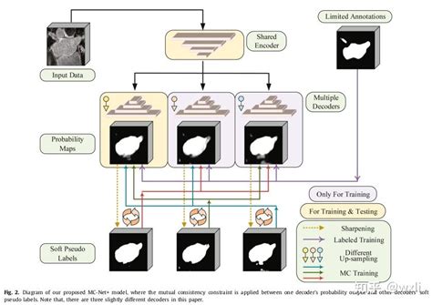 【论文阅读】mutual Consistency Learning For Semi Supervised Medical Image Segmentation（media 2022） 知乎