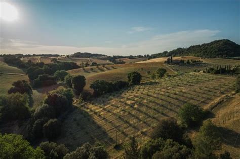 Agriturismo Tuscany : best farmhouses and agritourism in Toscana