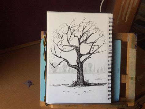 Tree Trunk Drawings In Pencil