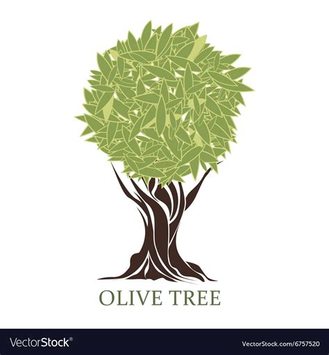 Logo olive tree Royalty Free Vector Image - VectorStock