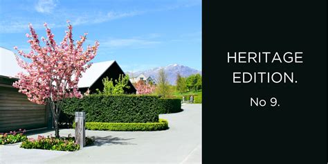 Flowering Cherry Easy Big Trees New Zealand