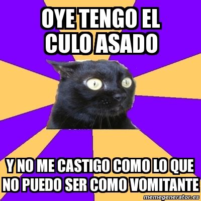 Meme Anxiety Cat Oye Tengo El Culo Asado Y No Me Castigo Como Lo Que