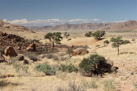 IMG 0566 Barkhan Dune Retreat Jutta Monhof Flickr