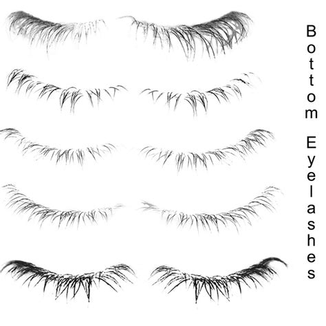 Eyelash Brushes For Photoshop Photoshop Brushes Eyes Etsy