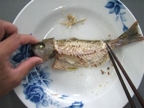 魚のきれいな食べ方（イサキ）／京都府ホームページ