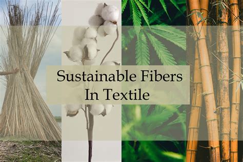 7 Most Famous Sustainable Fibers In Textile Industry