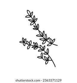 Hand Drawn Doodle Birch Leaf Outline Stock Vector Royalty Free