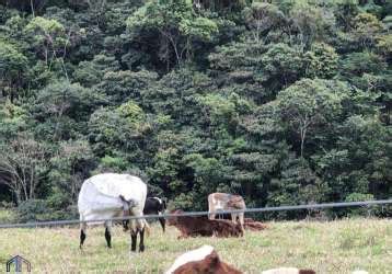 Fazendas Venda Em Ant Nio Dias Mg Chaves Na M O