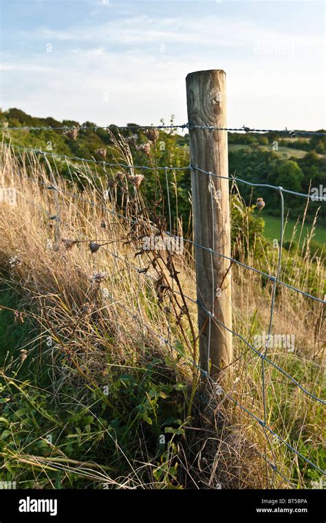 Barbed wire Fence Stock Photo - Alamy