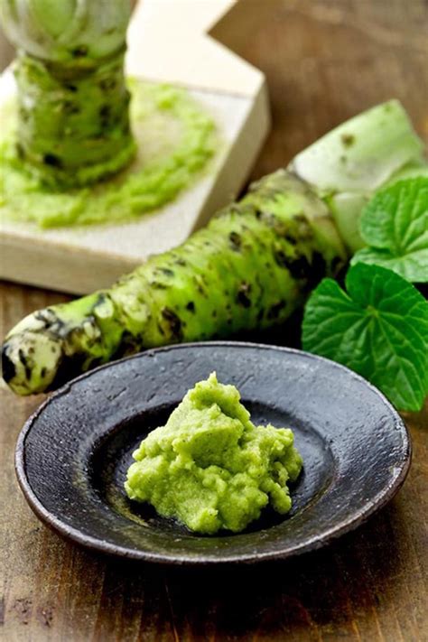 Wasabi — All Things You Need To Know About Japanese Wasabi Living