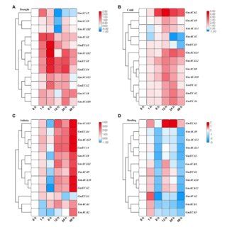 Heat Map Expression Profiles Of P 2 Type ATPases Genes In Leaf Under