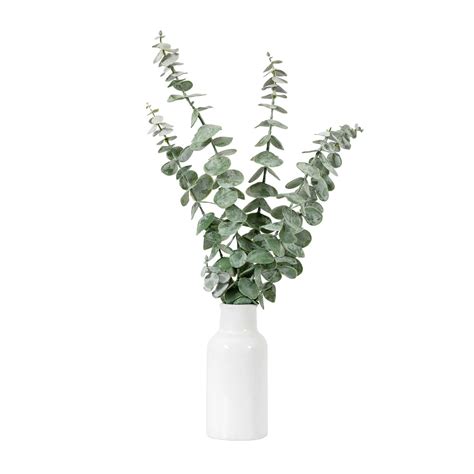 Vase with Eucalyptus Stems