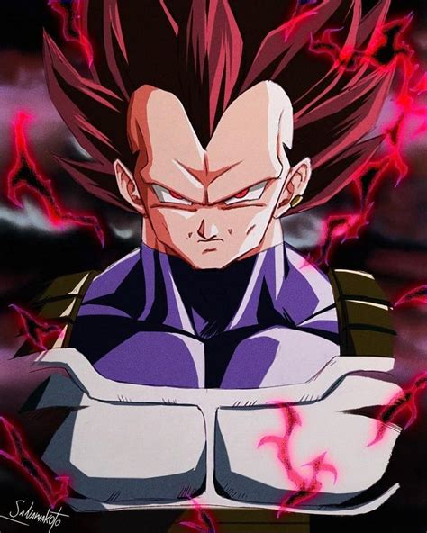 Vegeta Dios de la Destrucción God of Destruction Personajes de dragon