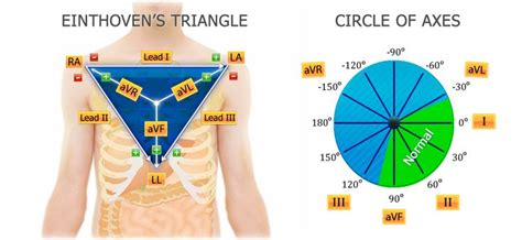 IVLine seeks to investigate and share information on health issues ...