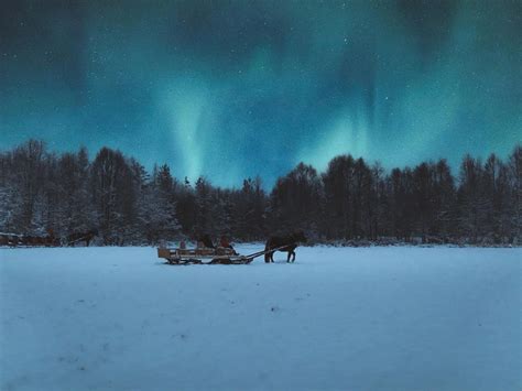 Why You Should Visit Rovaniemi in November - Apukka Resort